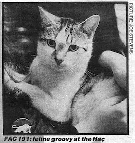 factory records feline release